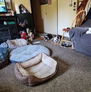 Meet your Posher, Debbie